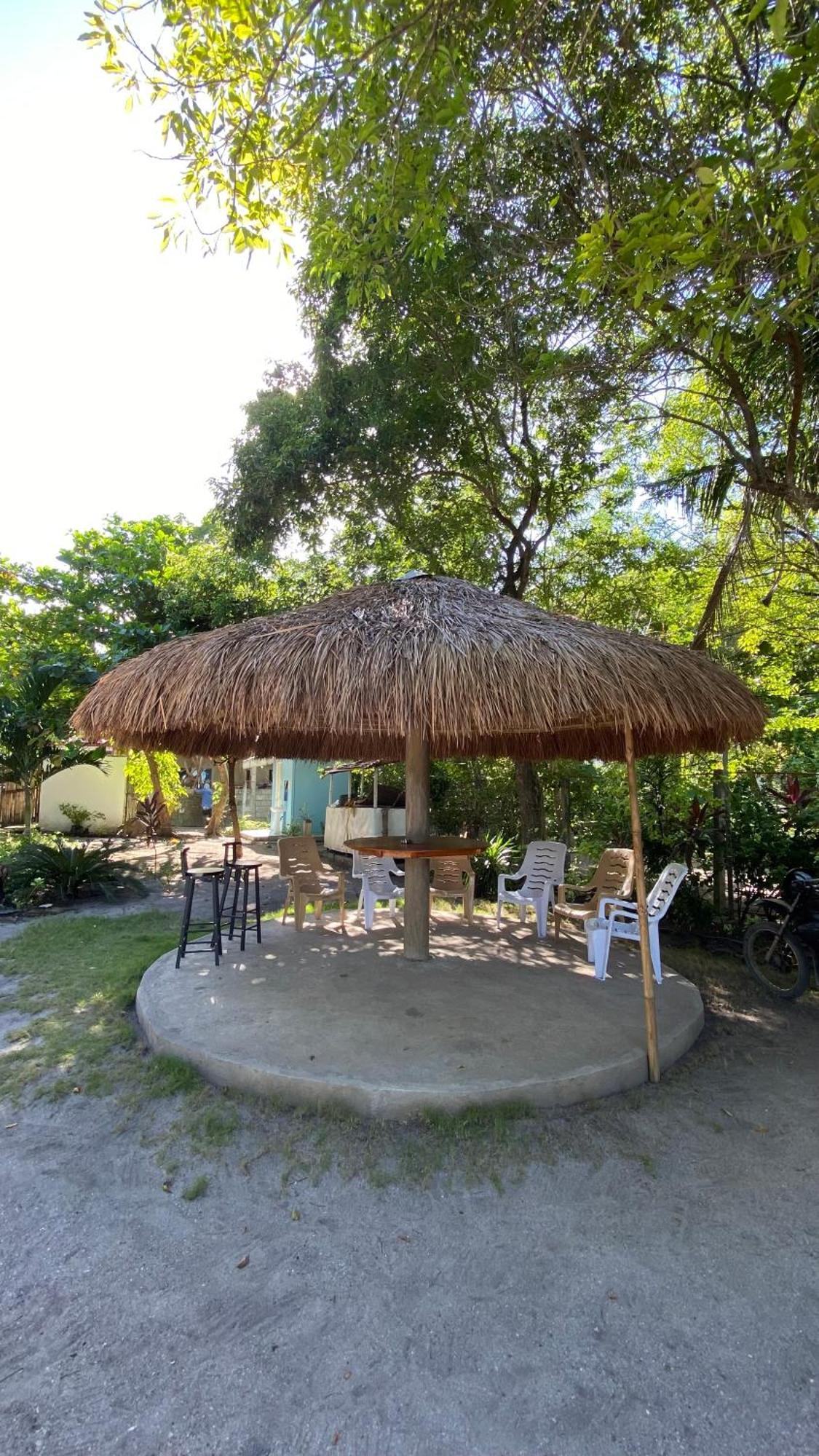 Elen Inn - Malapascua Island Fan Room #2 Eksteriør bilde